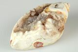 Chalcedony Replaced Gastropod With Sparkly Quartz - India #188776-1